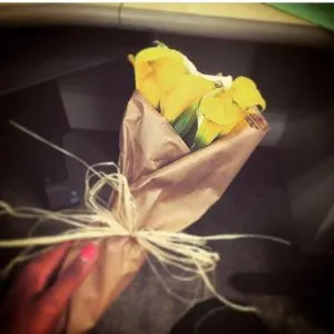 yellow flowers